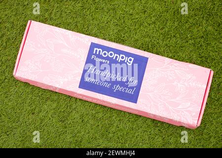 Moonpig Box für Blume liefern, speichern Logo isoliert auf Gras. Online-Services Stockfoto