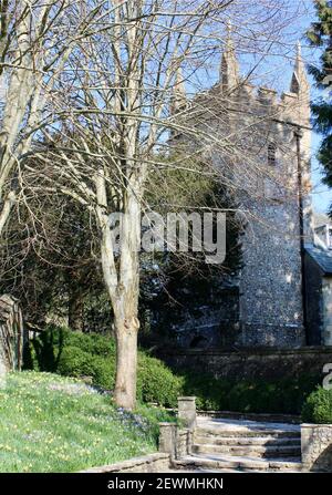 Frühlingszwiebelanzeige in den West Dean Gardens Stockfoto