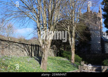 Frühlingszwiebelanzeige in den West Dean Gardens Stockfoto