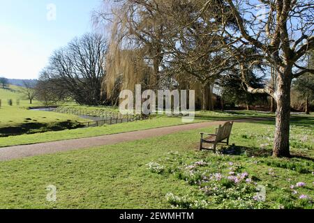 Frühlingszwiebelanzeige in den West Dean Gardens Stockfoto