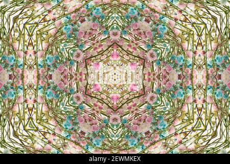 Schöne Blume Hintergrund, Kaleidoskop Textur. Ziemlich kleine Kerzenfloss Blumen Stockfoto