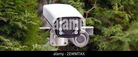 Verdeckte Videoüberwachung. CCTV-Überwachungskamera oder Radar zur Überwachung der Geschwindigkeit von Autos zwischen den Bäumen montiert. Videoausrüstung für Sicherheitssystem A Stockfoto