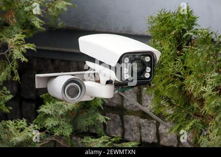 Verdeckte Videoüberwachung. CCTV-Überwachungskamera oder Radar zur Überwachung der Geschwindigkeit von Autos zwischen den Bäumen montiert. Videoausrüstung für Sicherheitssystem A Stockfoto