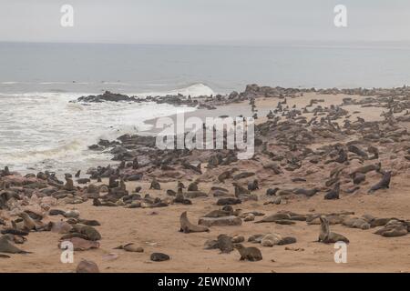 Kapfellrobben am Fels- und Sandstrand von Cape Cross in Namibia, Afrika Stockfoto