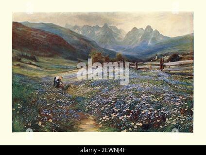 Juni im österreichischen Tirol nach John MacWhirter 19th Jahrhundert viktorianische Kunst. Fußweg zum Dorf durch Wildfloer Wiese Stockfoto