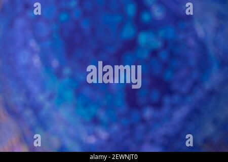 Verschwommener heller marineblauer Hintergrund und Indigo. Defokussierte, abstrakte Grafik mit verwacklungsunschärfen und Bokeh. Stockfoto