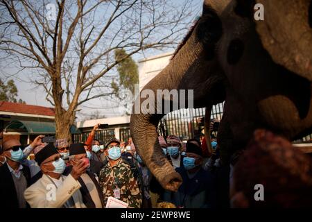 Lalitpur, Nepal. März 2021, 3rd. Premierminister KP Sharma Oli füttert am 3. März 2021 einen Elefanten im Central Zoo am Weltnaturschutztag in Lalitpur, Nepal. Kredit: Skanda Gautam/ZUMA Wire/Alamy Live Nachrichten Stockfoto