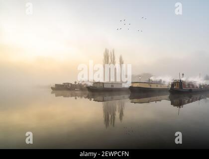 Atemberaubender goldener Lichtkanal schmaler Hausboothafen als Morgensonne durch Morgennebel bricht. Vögel fliegen durch neblige Himmel Boote reflektieren Stockfoto