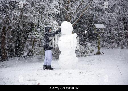 Snow, Medstead, Hampshire, England, Vereinigtes Königreich. Stockfoto