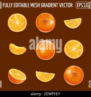 Set von reifen Orangen auf einem dunkelbraunen Hintergrund. Stock Vektor