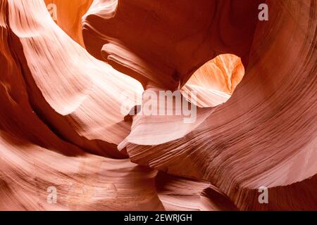 Wassererodierter Navajo-Sandstein bildet einen Slot Canyon im Upper Antelope Canyon, Navajo Land, Arizona, USA, Nordamerika Stockfoto