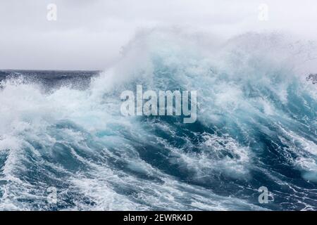 Starke Westwinde erzeugen große Wellen in der Drake Passage, Antarktis, Polarregionen Stockfoto