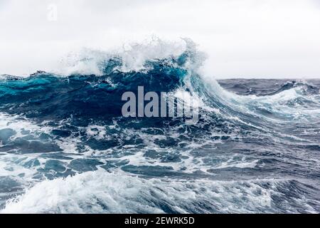 Starke Westwinde erzeugen große Wellen in der Drake Passage, Antarktis, Polarregionen Stockfoto