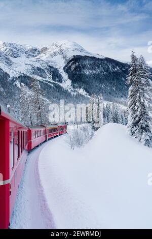 Roter Bernina-Expresszug durch die verschneite Landschaft im Winter, Preda Bergun, Albulatal, Kanton Graubünden, Schweiz, Europa Stockfoto