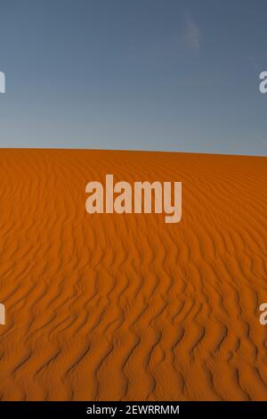 Sandkräuseln in den Sanddünen der Tenere-Wüste, Sahara, Niger, Afrika Stockfoto