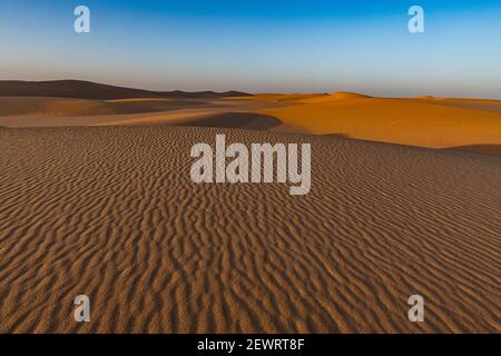 Wellen im Wüstensand, Sahara, Niger, Afrika Stockfoto