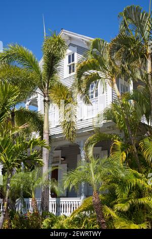 Blick durch Palmen zur Fassade eines typischen Holzhauses, Altstadt, Key West, Florida Keys, Florida, Vereinigte Staaten von Amerika, Nordamerika Stockfoto