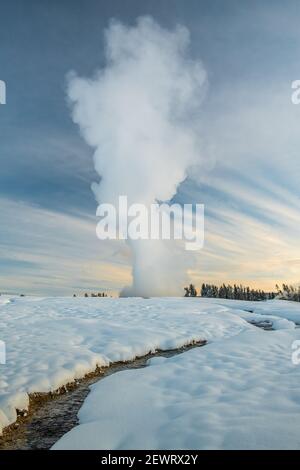 Sonnenaufgang Eruption von Old Faithful Geysir mit Bach, Yellowstone National Park, UNESCO Weltkulturerbe, Wyoming, Vereinigte Staaten von Amerika Stockfoto