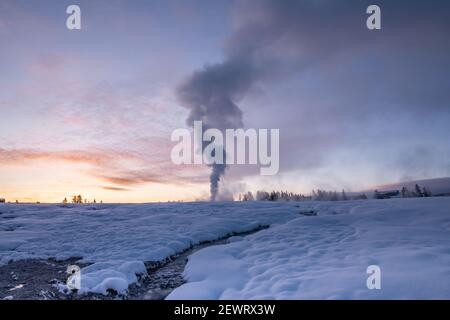 Sonnenaufgang Eruption von Old Faithful Geysir mit Bach, Yellowstone National Park, UNESCO Weltkulturerbe, Wyoming, Vereinigte Staaten von Amerika Stockfoto