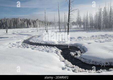 Snowscape mit Bach und Bäumen, Yellowstone National Park, UNESCO Weltkulturerbe, Wyoming, Vereinigte Staaten von Amerika, Nordamerika Stockfoto