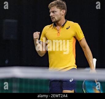 Rotterdam, Niederlande, 3. märz 2021, ABNAMRO World Tennis Tournament, Ahoy, Erstrundenspiel: David Goffin (Bel) Foto: www.tennisimages.com/ Stockfoto