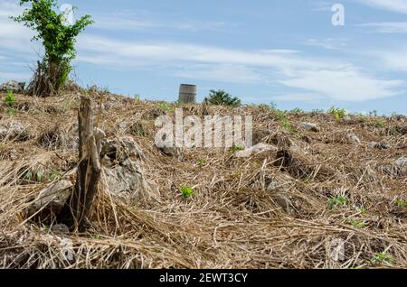 Eingebettete Felsen Auf Bedecktem Farmland Stockfoto