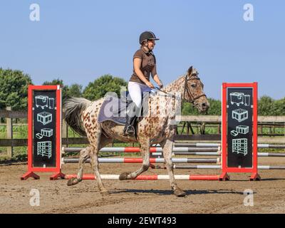 Reiterin in Wettkampfkleidung auf einem galoppierenden Pferd. Holland hat 500.000 Reiter und 450.000 Pferde. 1.500 Reitvereine. Stockfoto