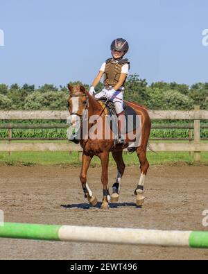 Junges Mädchen in Wettkampfkleidung auf einem Pferd. Holland hat 500.000 Reiter und 450.000 Pferde. Es gibt 1.500 Reitvereine. Stockfoto