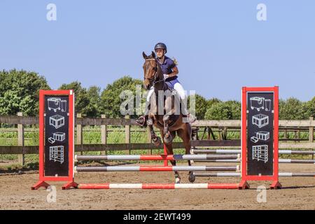 Frau in Wettkampfkleidung springen mit ihrem Pferd. Holland hat 500.000 Reiter und 450.000 Pferde. 1.500 Reitvereine. Stockfoto