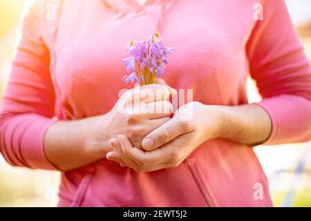 Weibliche Hände halten ein Bouquet von blauen Schneeglöckchen in den Sonnenstrahlen. Nahaufnahme, kein Gesicht Stockfoto