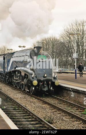 Klasse A4 Pacific No 60007 Sir Nigel Gresley vorbei an der Didcot Parkway Station mit dem Cathedrals Express Carol Concert Special nach Oxford. 11,12. 2008. Stockfoto