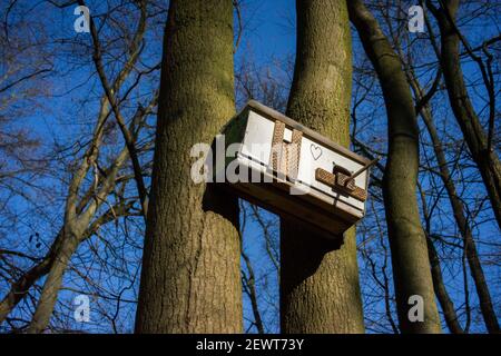 Posen, Wielkopolska, Polen. März 2021, 3rd. Der extravagante Nistkasten im Stadtwald der Stadt PoznaÅ Quelle: Dawid Tatarkiewicz/ZUMA Wire/Alamy Live News Stockfoto