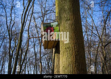 Posen, Wielkopolska, Polen. März 2021, 3rd. Der extravagante Nistkasten im Stadtwald der Stadt PoznaÅ Quelle: Dawid Tatarkiewicz/ZUMA Wire/Alamy Live News Stockfoto