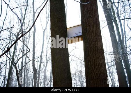 Posen, Wielkopolska, Polen. März 2021, 3rd. Der extravagante Nistkasten im Stadtwald der Stadt PoznaÅ Quelle: Dawid Tatarkiewicz/ZUMA Wire/Alamy Live News Stockfoto