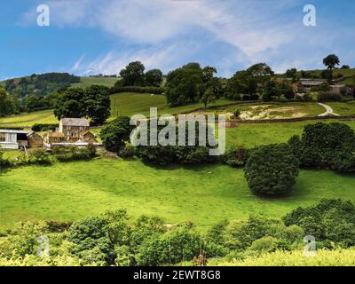 Landschaft mit Feldern, Bäumen und Bauernhöfen im North York Moors National Park, North Yorkshire, England Stockfoto