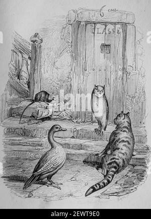 le hibou le Chat l'oison et le Rat, Fables de florian illustres par Victor adam ,editeur delloye,desme 1838 Stockfoto