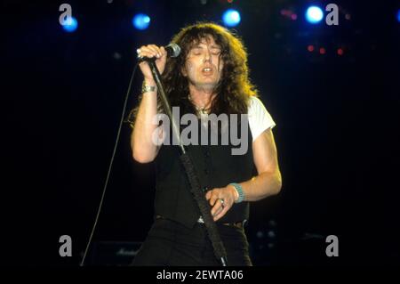 Whitesnake's David Coverdale spielt live bei einem "Slide it in" Tourkonzert in der Wembley Arena. London, 03.03.1984 – weltweite Nutzung Stockfoto