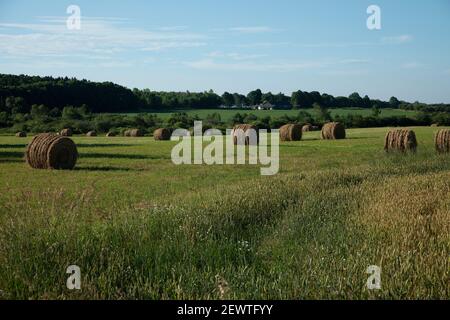 Offenes Ackerland mit runden Heuballen in Door County Wisconsin Stockfoto