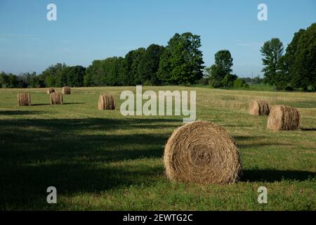 Offenes Ackerland mit runden Heuballen in Door County Wisconsin Stockfoto