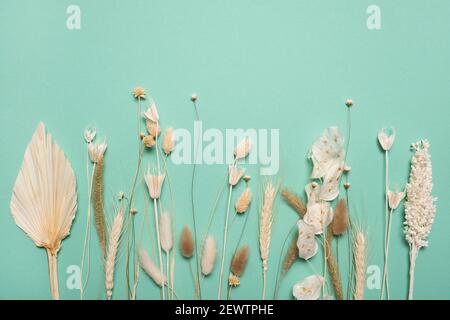 Verschiedene gelb getrocknete Wildblumen auf blauem Hintergrund. Draufsicht, flach liegend Stockfoto