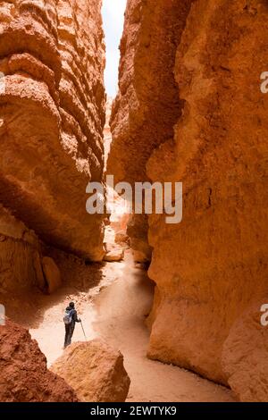 Indische, asiatische Frau, die allein durch eine Schlucht im Bryce Canyon National Park, Utah, USA, wandert Stockfoto