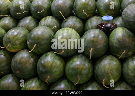 Jakarta, Indonesien. März 2021, 03rd. Wassermelonenstapel auf dem traditionellen Markt des Kramat Jati Central Market, Ost-Jakarta, inmitten der Covid-19 Pandemie, Mittwoch (3/3/2021). (Foto von Kuncoro Widyo Rumpoko/Pacific Press) Quelle: Pacific Press Media Production Corp./Alamy Live News Stockfoto