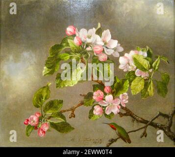 Martin Johnson Heade Kunstwerk mit dem Titel Hummingbird and Apple Blossom 1875 Stockfoto