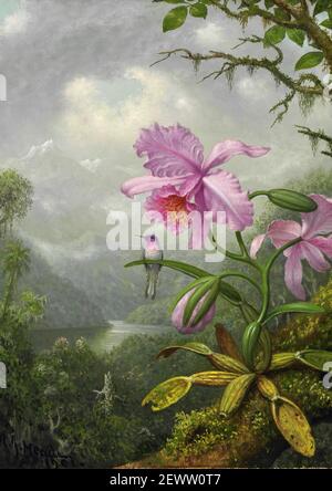 Martin Johnson Heade Kunstwerk mit dem Titel Hummingbird thront auf der Orchidee von 1901. Stockfoto