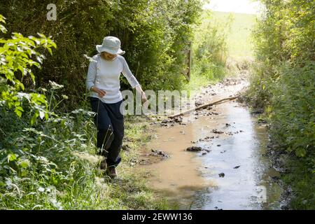 Fit indische Frau Wandern auf einem überfluteten Weg oder Pfad in englischer Landschaft, Großbritannien Stockfoto