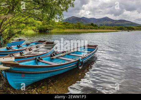 Fischerboote liegen am Rande des Lough Leane in Killarney, County Kerry in Irland. Der Blick über Lough Leane ist auf die MacGillycuddy's Reeks. Stockfoto