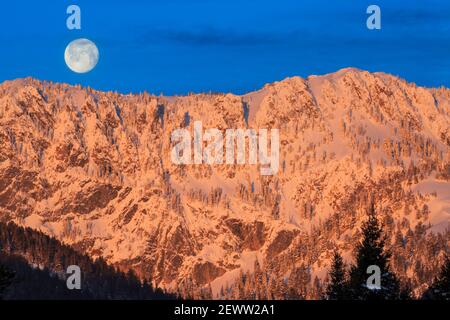 Vollmonduntersetzung über den bridger Bergen im Winter bei bozeman, montana Stockfoto