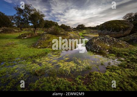 Landschaft mit Bach in der Dehesa de la Luz. Extremadura. Spanien. Stockfoto