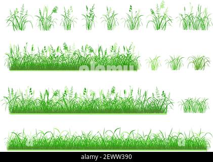 Set von Hand gezogenem Gras. Separate Grasbüschel, kompakte Rasenflächen. Grüne Silhouetten isoliert auf weißem Hintergrund. Abbildung, Pinsel. Stock Vektor