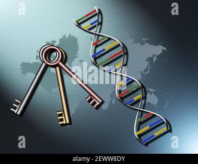 DNA-Strang, Schlüssel und Weltkarte. 3D Rendern. Stockfoto